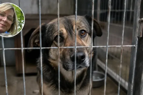 Rezygnacja Beaty Kastrau nie kończy sprawy schroniska w Świnoujściu. Mieszkańcy domagają się wyjaśnień