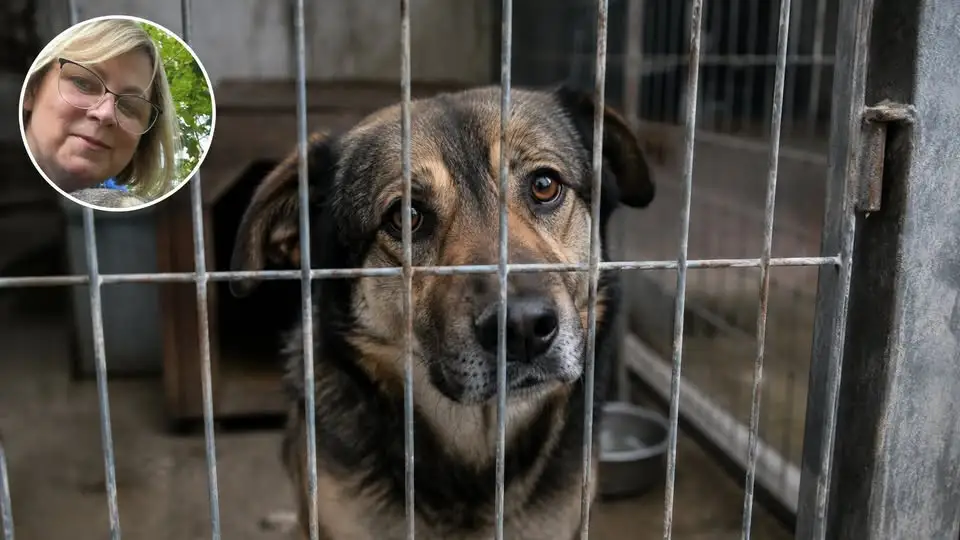 Rezygnacja Beaty Kastrau nie kończy sprawy schroniska w Świnoujściu. Mieszkańcy domagają się wyjaśnień