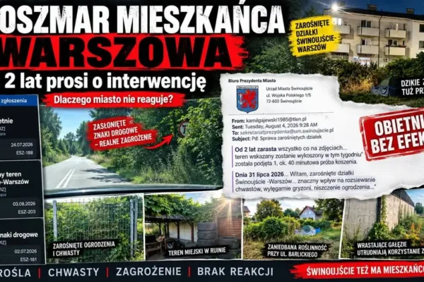 Mieszkaniec Warszowa od dwóch lat walczy z zarośniętymi działkami. Miasto obiecuje, problem wraca