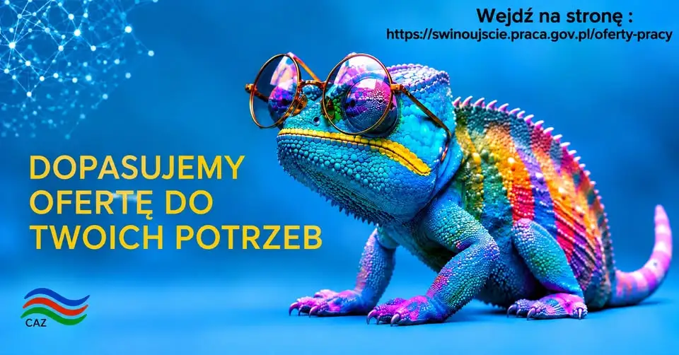 Świnoujście: nowe oferty pracy w urzędzie miasta, sądzie i szkołach
