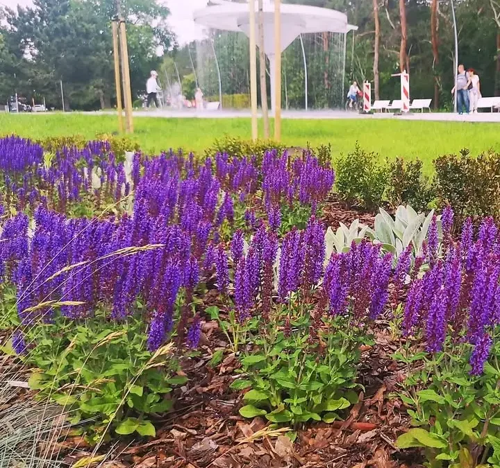 Niemcy świętują zjednoczenie. Spektakularne fajerwerki na wyspie Uznam