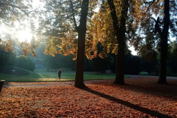 Parkrun w Parku Zdrojowym: 70 biegaczy, jubileusze i halloweenowa zapowiedź